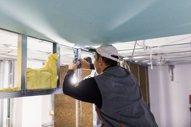 Best Commercial Insulation in Merryville, LA